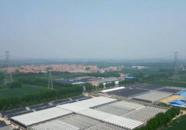 綠泉空氣源熱泵熱風機在蔬菜育苗的應用